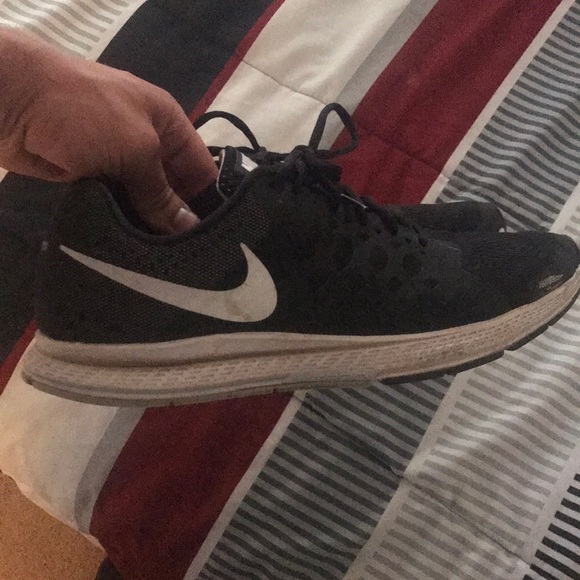 Pegasus 31 - Picture 2 of 2